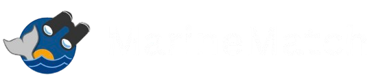 alternative